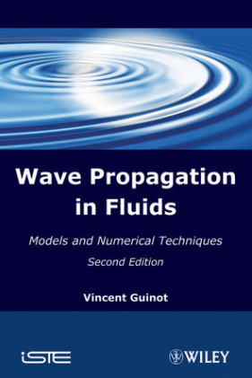 Wave Propagation in Fluids : Multidimensional Hyperbolic Systems