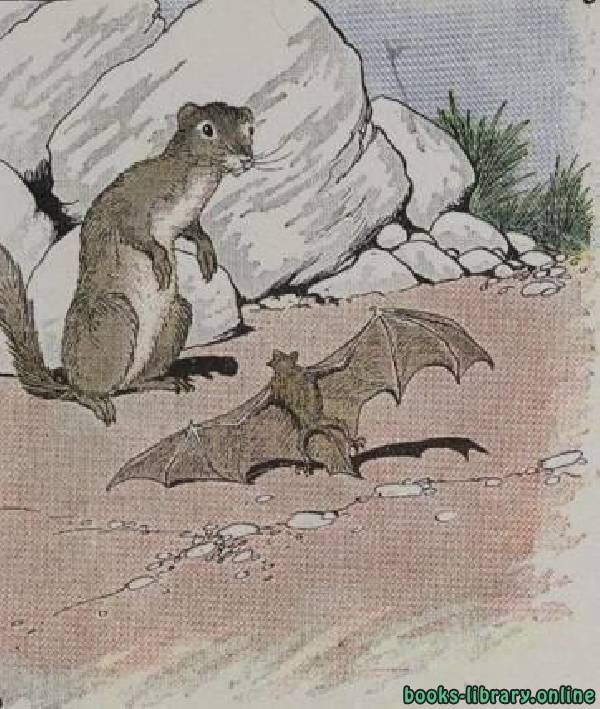 قصة The Bat And The Weasels