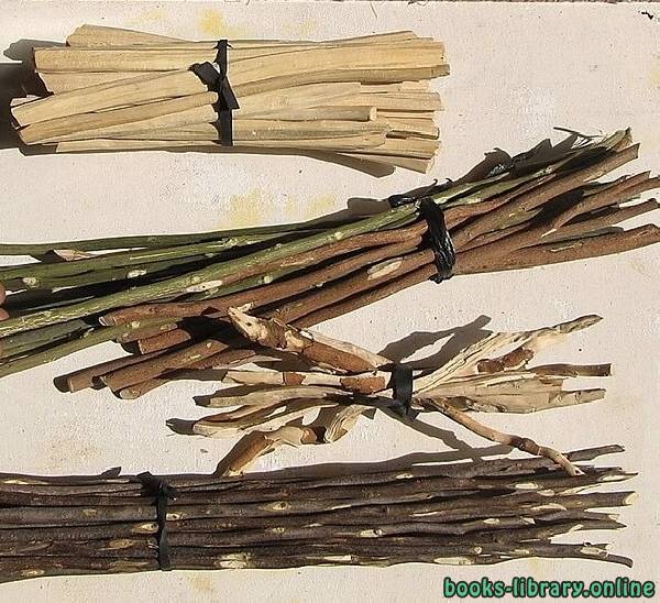 قصة The Bundle Of Sticks