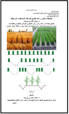 تطبيقات نظم زراعة القمح بطريقة المصاطب المرتفعة