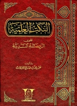 الإفصاح في شرح أبيات مشكلة الإعراب الحسن بن أسد الفارقي